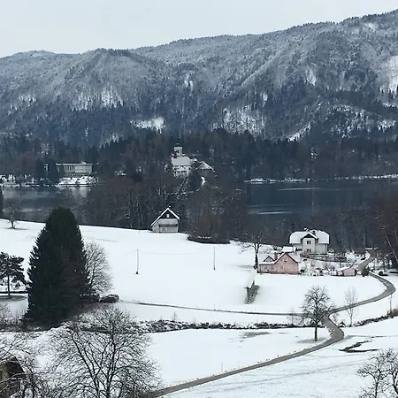 House Spica * Bled